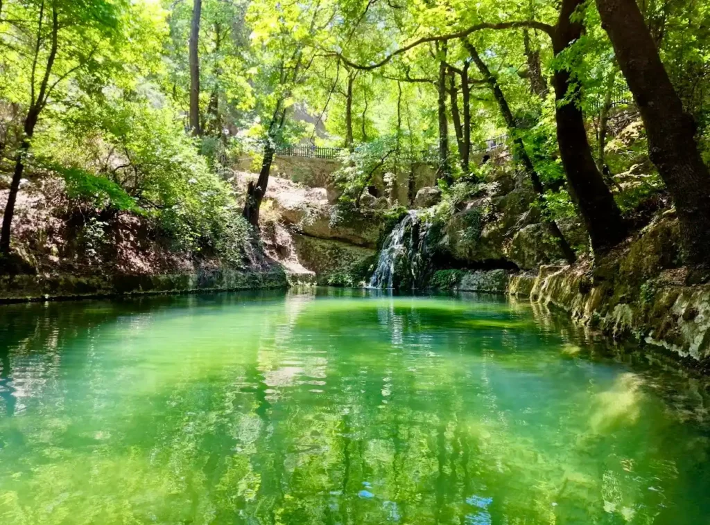butterflies valley