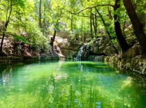 butterflies valley