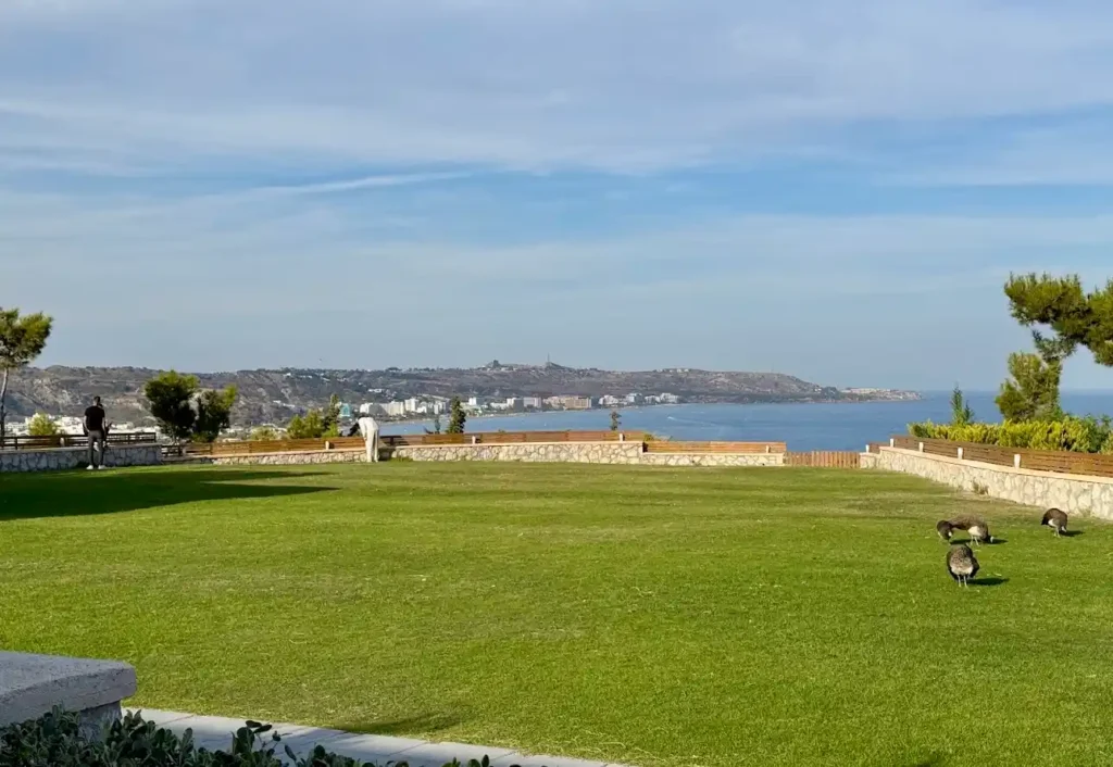 Best Brunch Spot Rhodes 2025