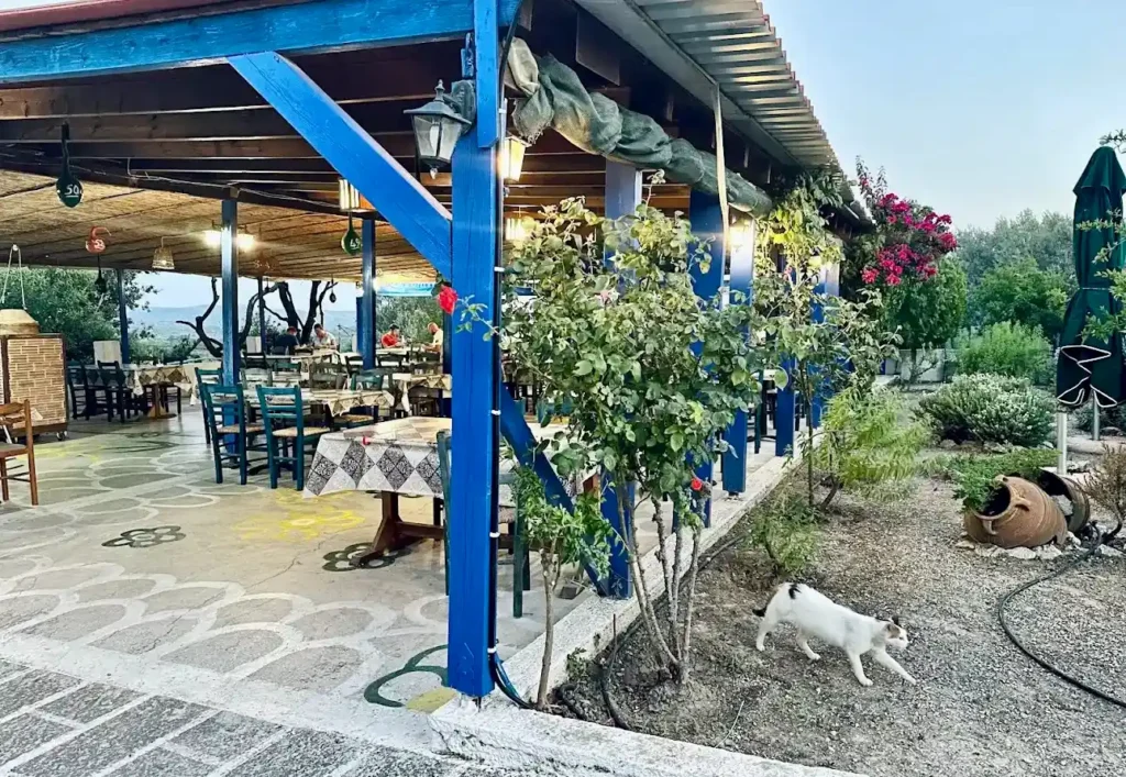 Best Taverna In Rhodes