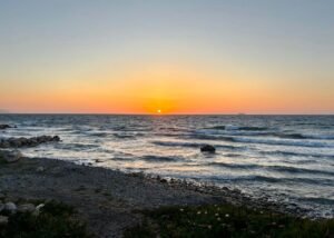 best fish taverna in rhodes